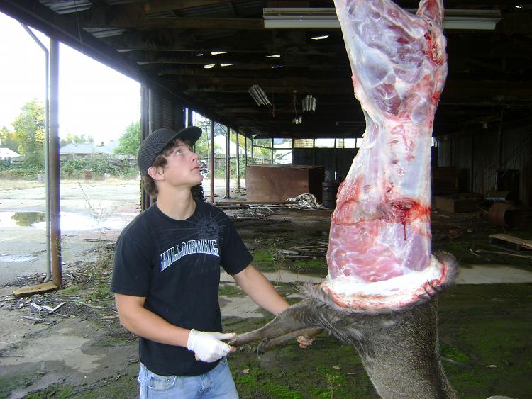 Josh Allman examines roadkill deer carcass